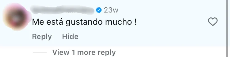 Comentario de un usuario en Instagram